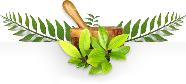 Connect To Us - Ayurveda Png (602x274), Png Download