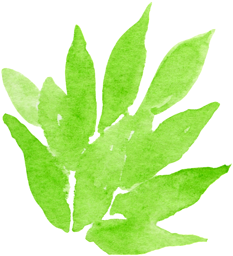 Dense Leaf Transparent Decorative - Watercolor Painting (1024x1122), Png Download