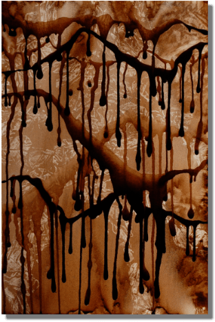 Rainforest - Herd (500x500), Png Download
