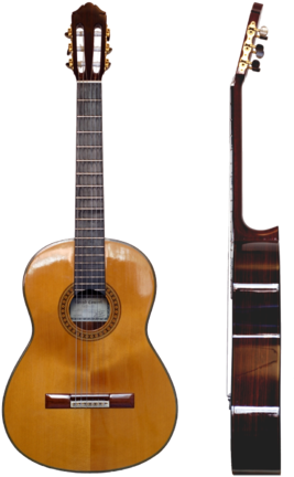 The Vinaccia Family Baroque Guitars From The Museum - Classical Guitar (328x499), Png Download