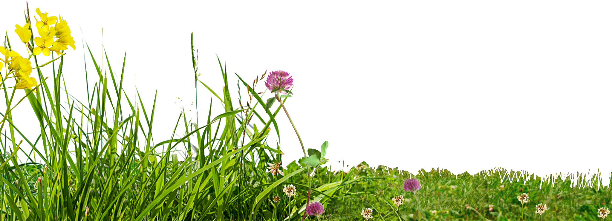 Climate Change (2048x741), Png Download