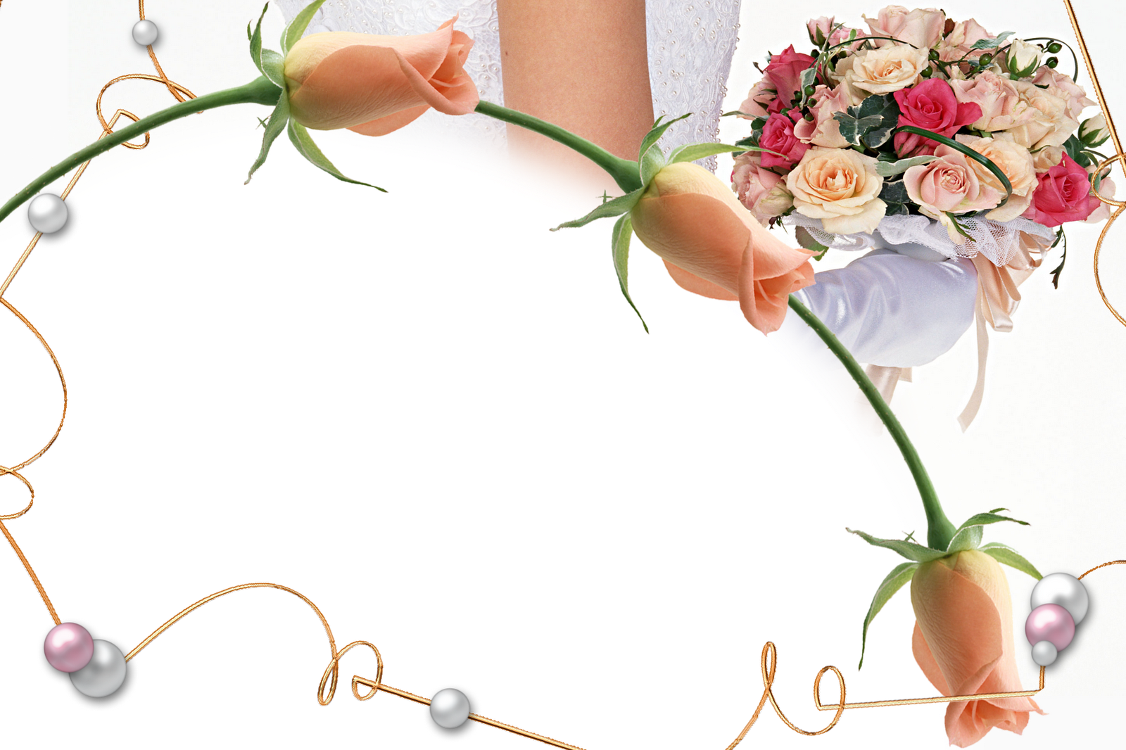 Photoshop Clipart Karizma Album - Karizma Album Png Clipart (1600x1066), Png Download