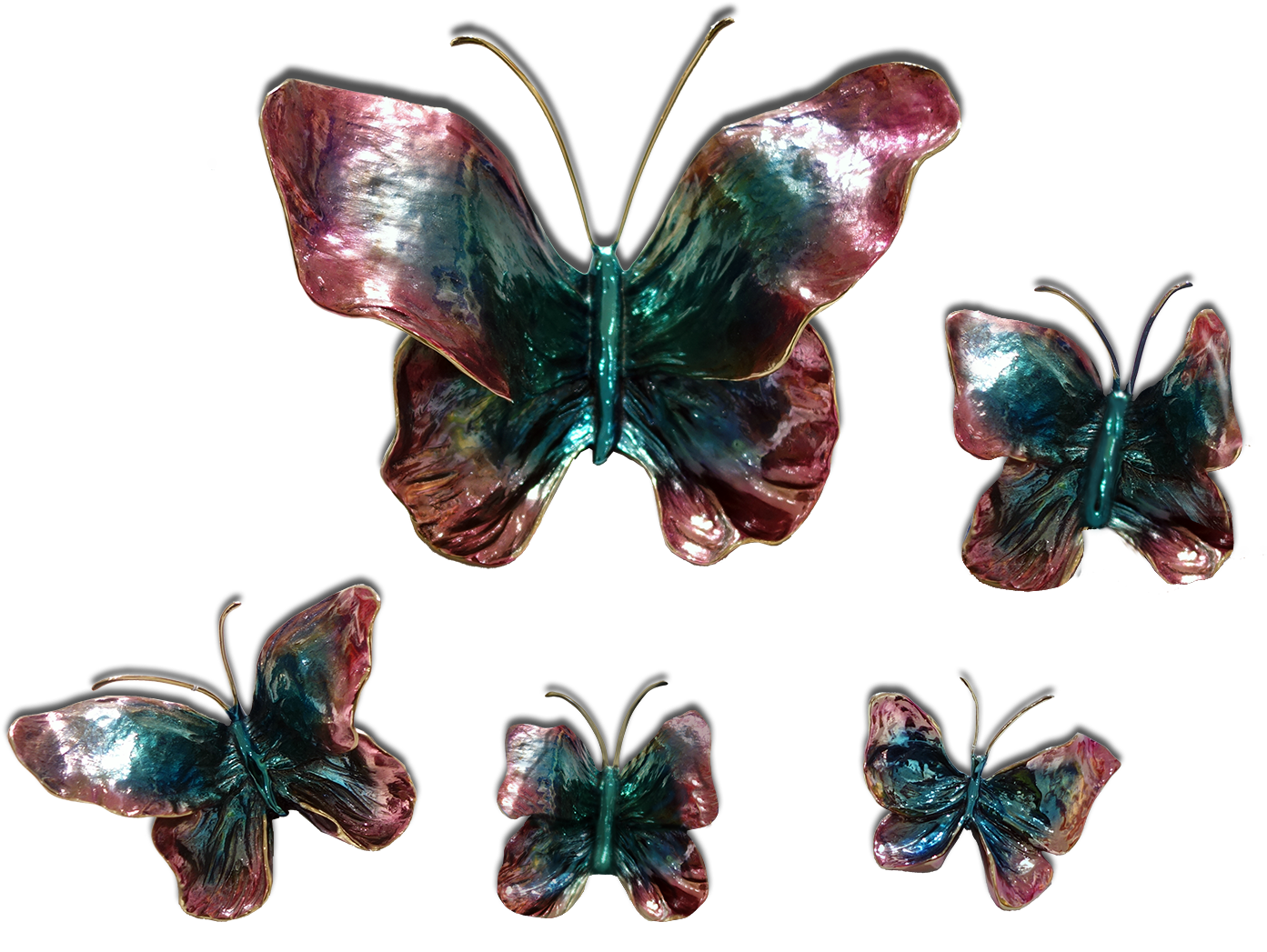 Ron & Sheila Ruiz Indigo Butterfly Exposures International - Exposures International Gallery (1500x1115), Png Download