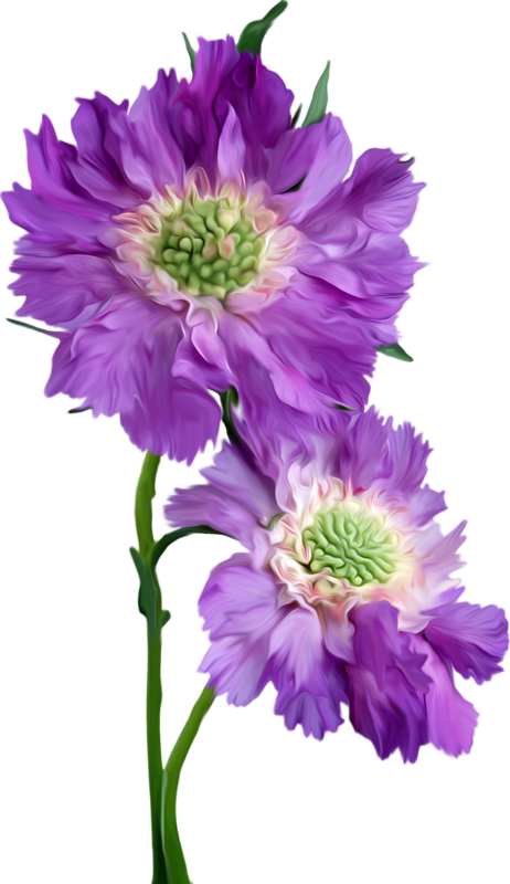 Happy Monday (462x800), Png Download