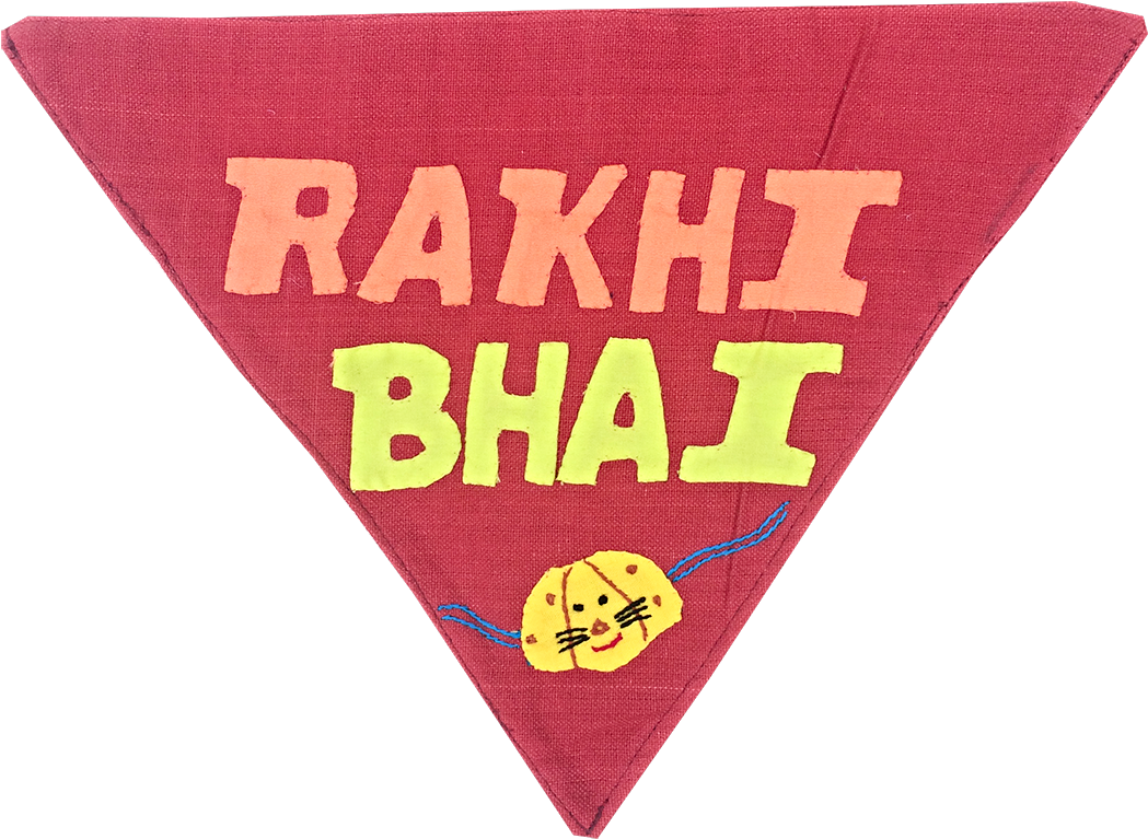 Rakhi Bhai - Junk Food (1200x1200), Png Download