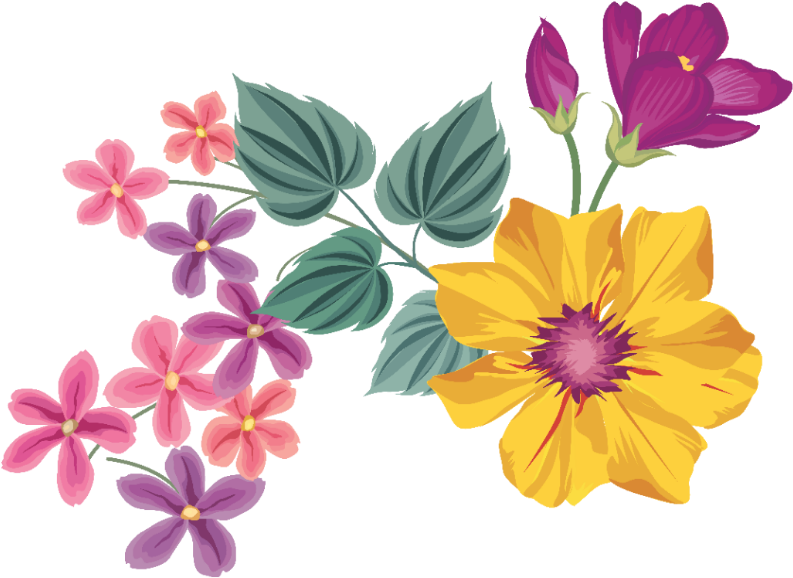 #yellow #bloom #frame #flower #border #flowers #white - Flower (983x983), Png Download