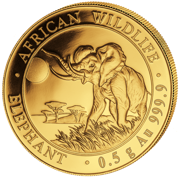 2016 20 Sh 1/50 Oz - Gold Somalian Elephant 2018 (600x600), Png Download