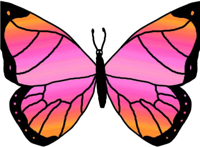 Monarch Butterfly Clipart Png Full Hd - Butterfly Clip Art Free (640x480), Png Download