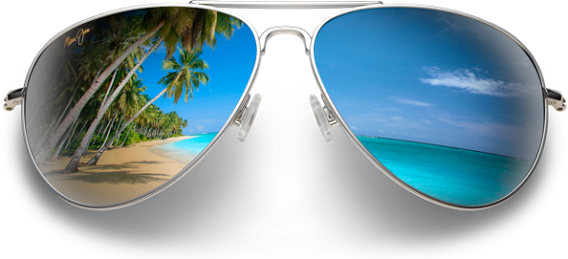 March 08, - Myeyeglasscase Hard Sunglasses Case With Microfiber (568x259), Png Download