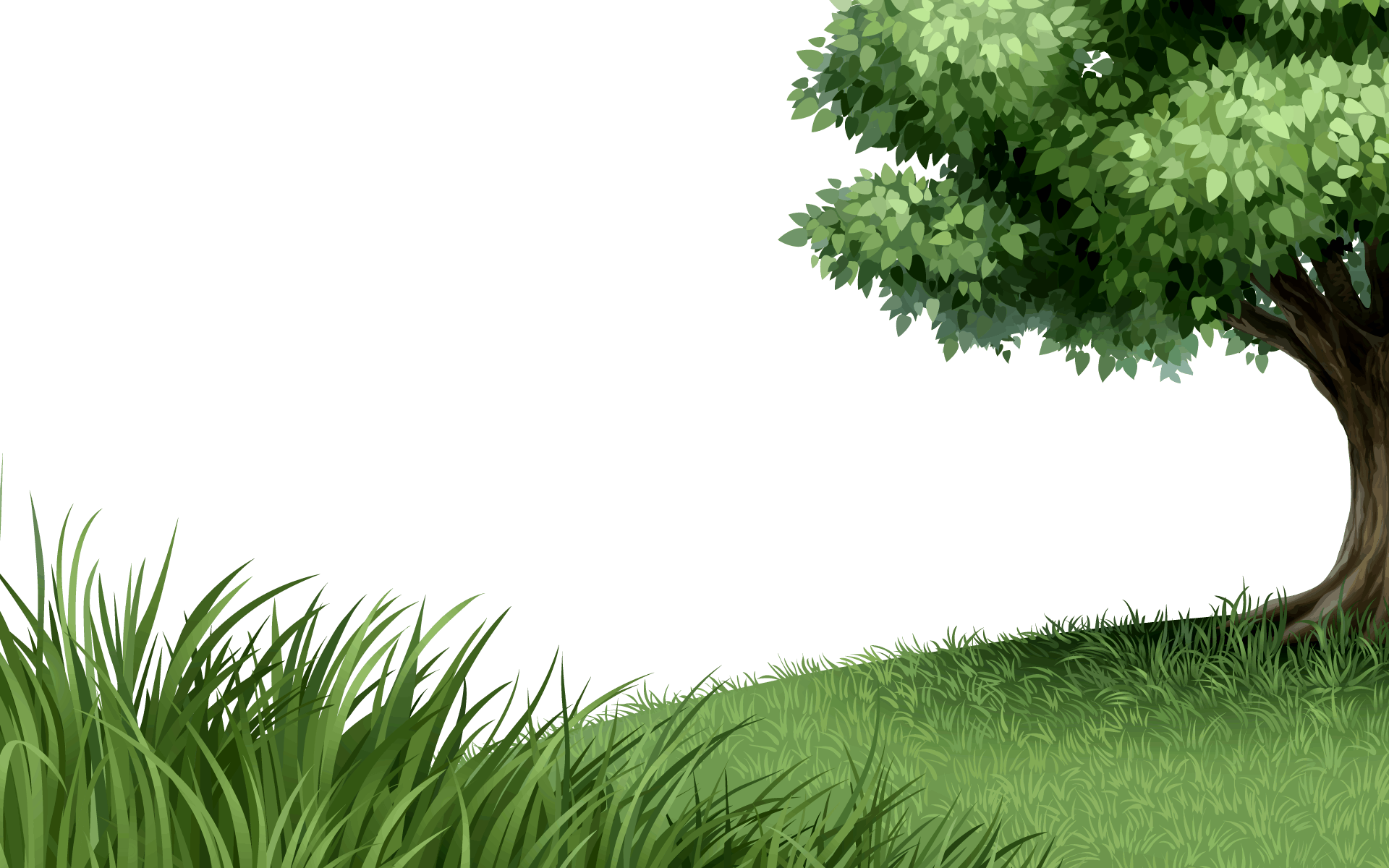 Png Nature Images - Beautiful Tree Shower Curtain (1920x1200), Png Download