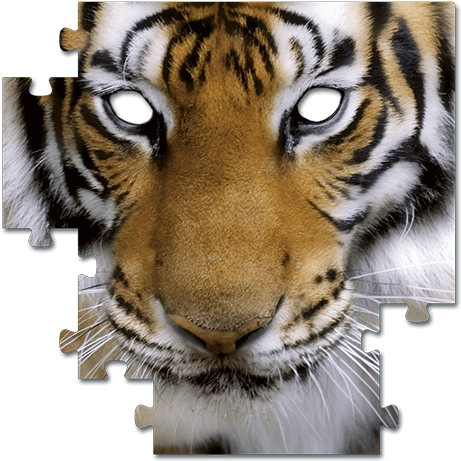 J&m Furniture Premium Acrylic Photographic Print (550x536), Png Download