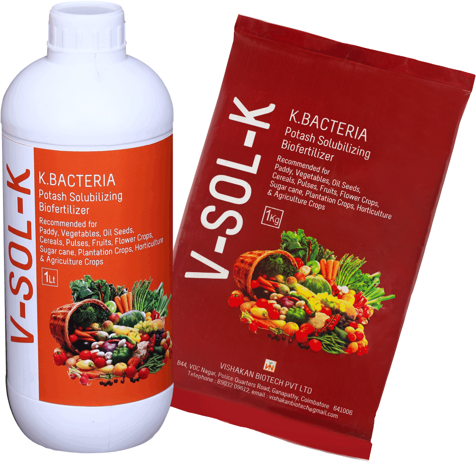 V Sol K - Secret Powers Of Colorful Foods (buch) (1372x1422), Png Download