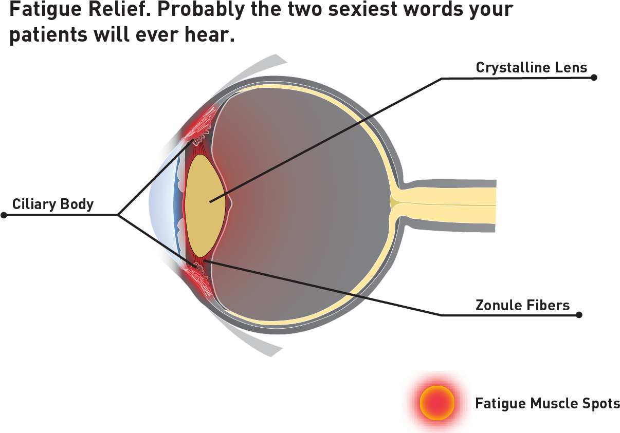 It's A Single Vision Fatigue Relief Lens That Relieves - Diagram (1313x860), Png Download