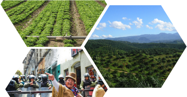 The World Bank Agriculture For Action Plan - Action Plan (700x320), Png Download