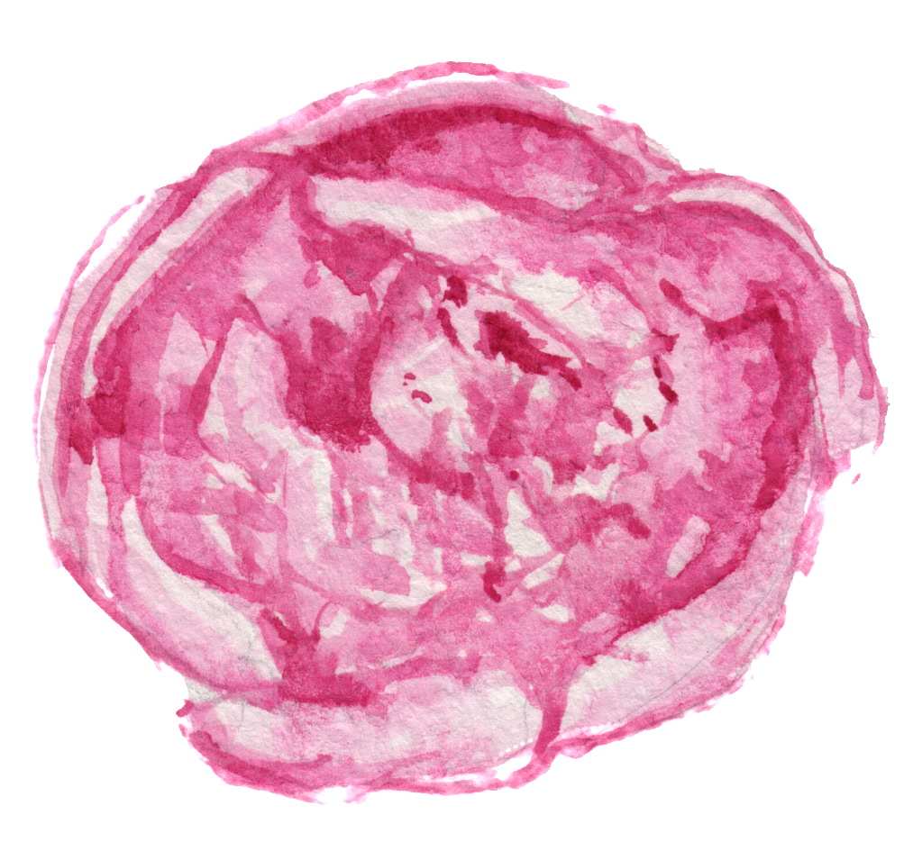 Watercolor Paint (1024x935), Png Download