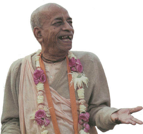 Srila Prabhupada - Senior Citizen (500x455), Png Download