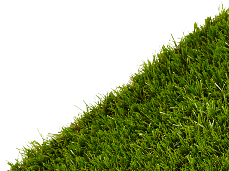 Need Help - Lawn (856x597), Png Download