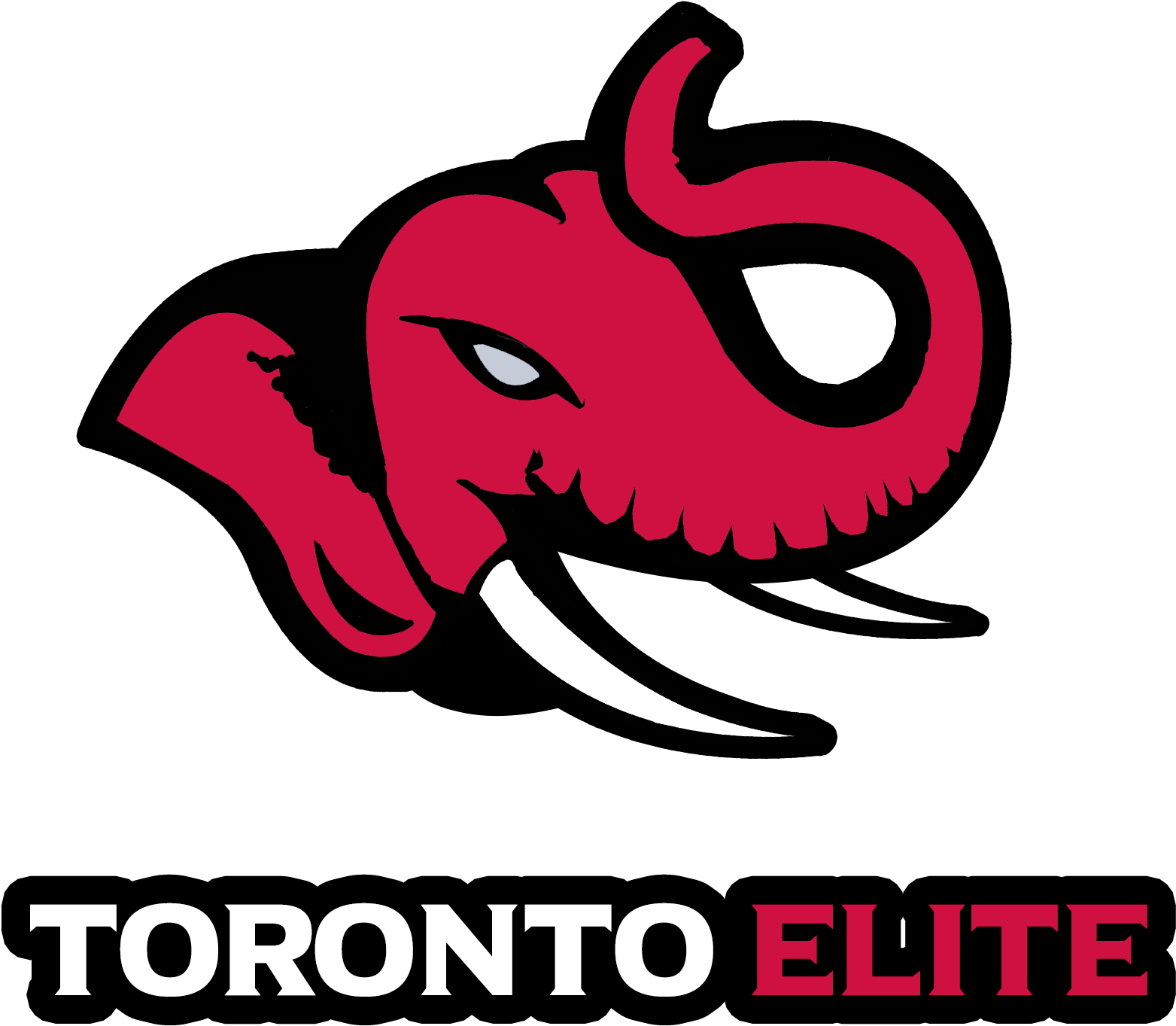 Toronto (2000x2000), Png Download