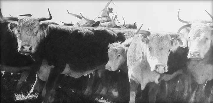Ever Alert And Ready From Harm, These Mother Cows Were - Mother's Day (786x411), Png Download
