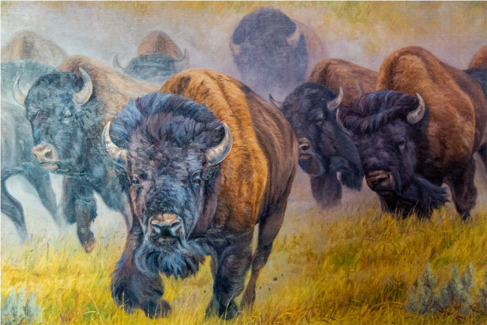 Gallery - Oil Painting (1200x675), Png Download