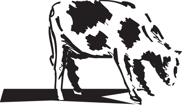 Cow, Grazing, Livestock, Cattle, Farm - Dessin Boeuf Hd (589x340), Png Download