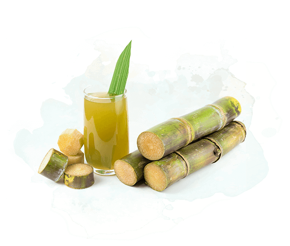 Geevani Sources The Best Tasting, Highest Quality Sugar - Sugar Cane Wine (596x500), Png Download