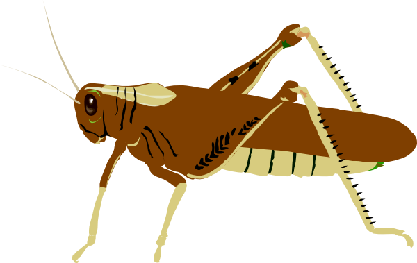 Cricket Clipart Locust - Ant And The Grasshopper Img (600x379), Png Download