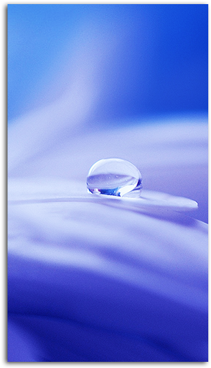 Pure Mobile Wallpaper Big - Transparent Wallpaper For Mobile (485x550), Png Download