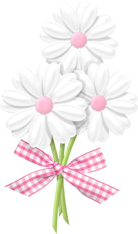Яндекс - Фотки - Buon Martedì (473x800), Png Download