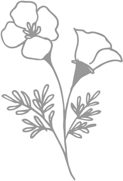 Floral - Buttercup (1000x784), Png Download