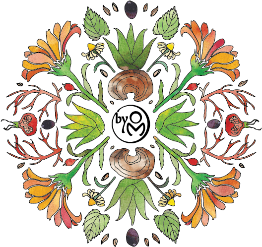 One Biome - Circle (612x581), Png Download