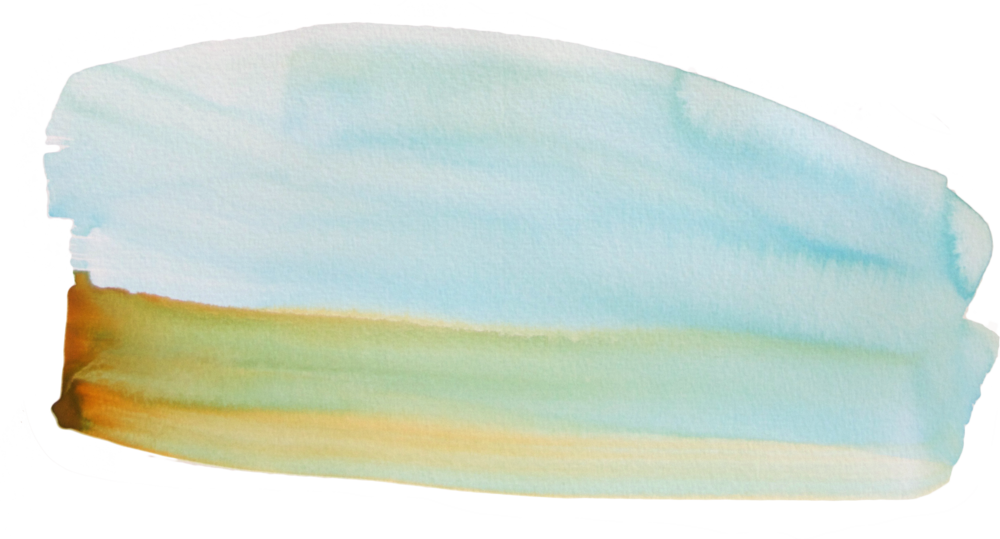 Paint 18 - Zucchini (1000x539), Png Download