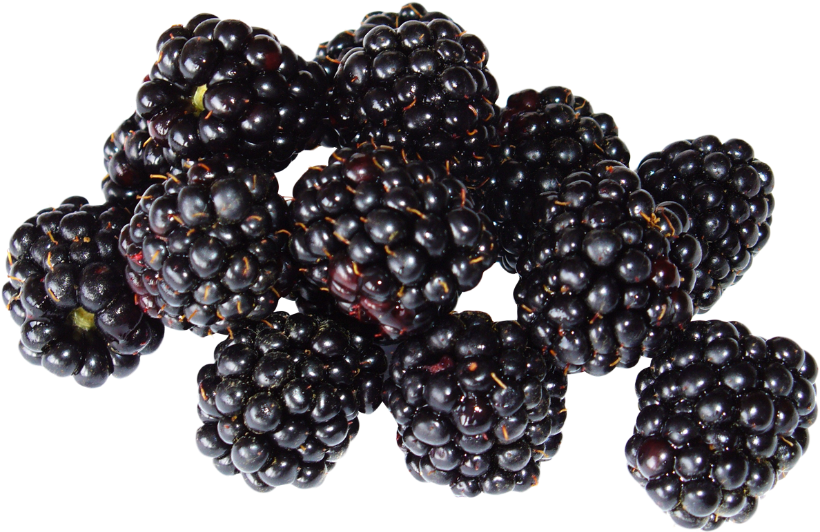 Blackberry Fruit Png Image - Blackberry Fruit Png (1211x820), Png Download
