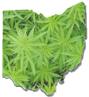 Another Option Is A Legislatively Initiated Ballot - Marijuana Ohio (374x372), Png Download