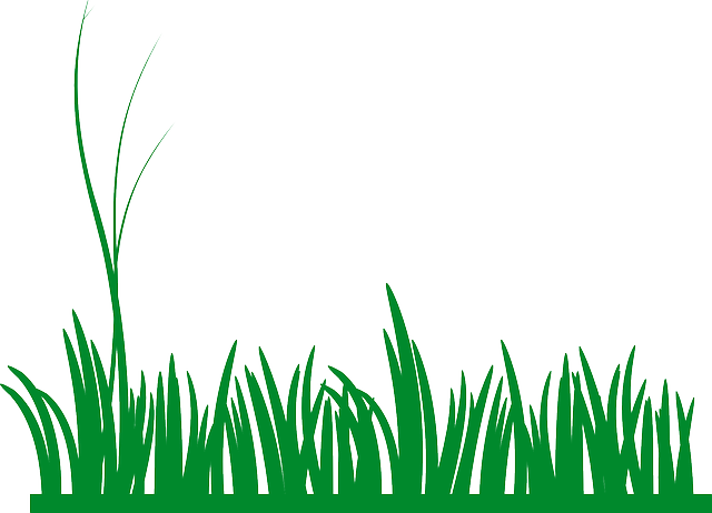 Gallery Images And Information - Grass Border Clip Art (640x462), Png Download