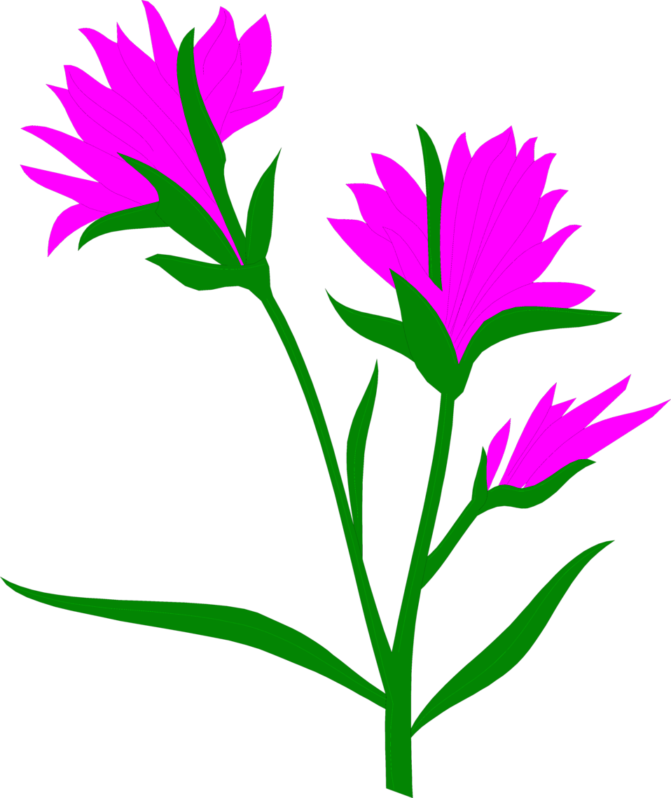 Indian - Indian Flower Art Transparent (958x1140), Png Download