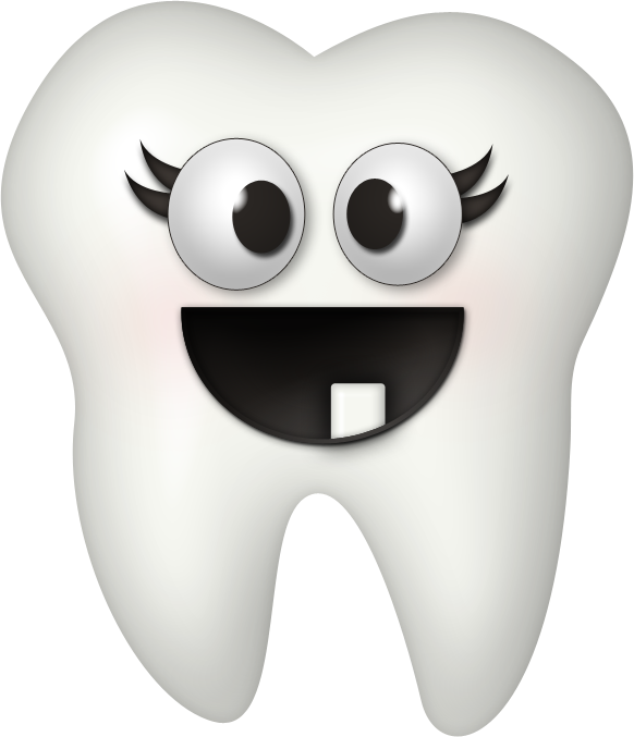 Dintii - Baby Tooth Clipart (582x677), Png Download