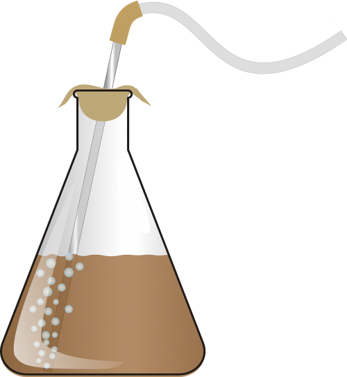 Erlenmeyer Flask (500x543), Png Download