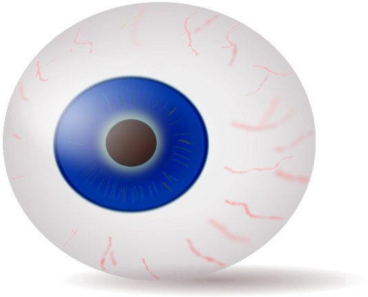 Eyeball Blue Realistic Png Clip Arts (600x495), Png Download