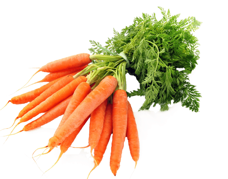 Free Images Toppng Transparent Svg Royalty Free - Transparent Background Carrot Png (850x618), Png Download