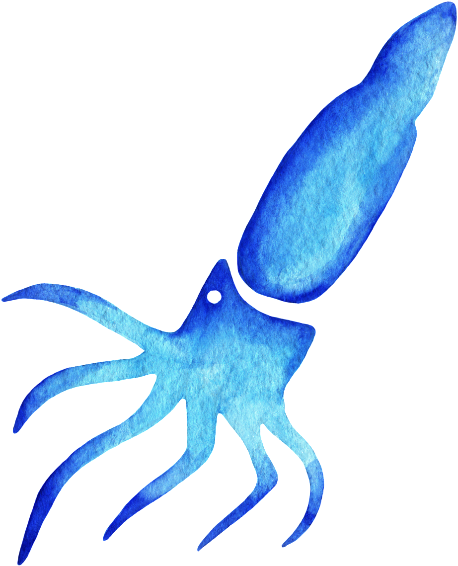 Watercolor Squid Clipart (1024x1293), Png Download