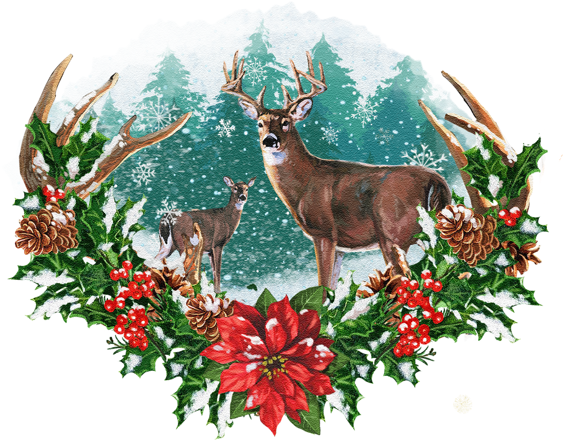 Seasonal Illustrations For Packaging And Merchandising - Roe Deer (2400x1757), Png Download