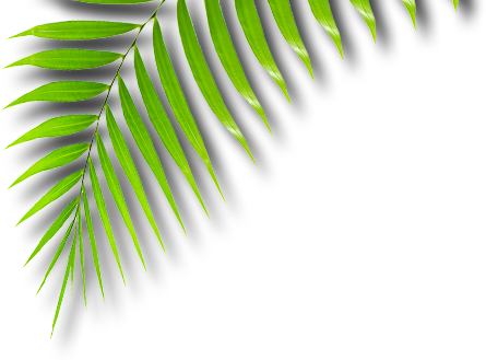 African Art In West Palm Beach - African Png (445x329), Png Download