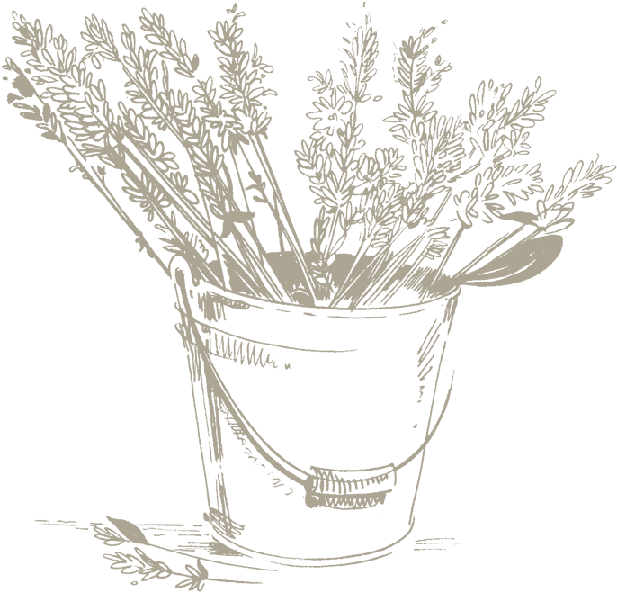 Lavender Water Is Used In Cosmetics For Its Calming, - Lily Of The Valley (700x797), Png Download