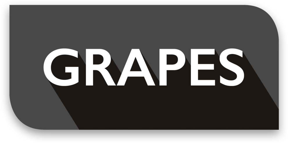 Grapes (1000x504), Png Download