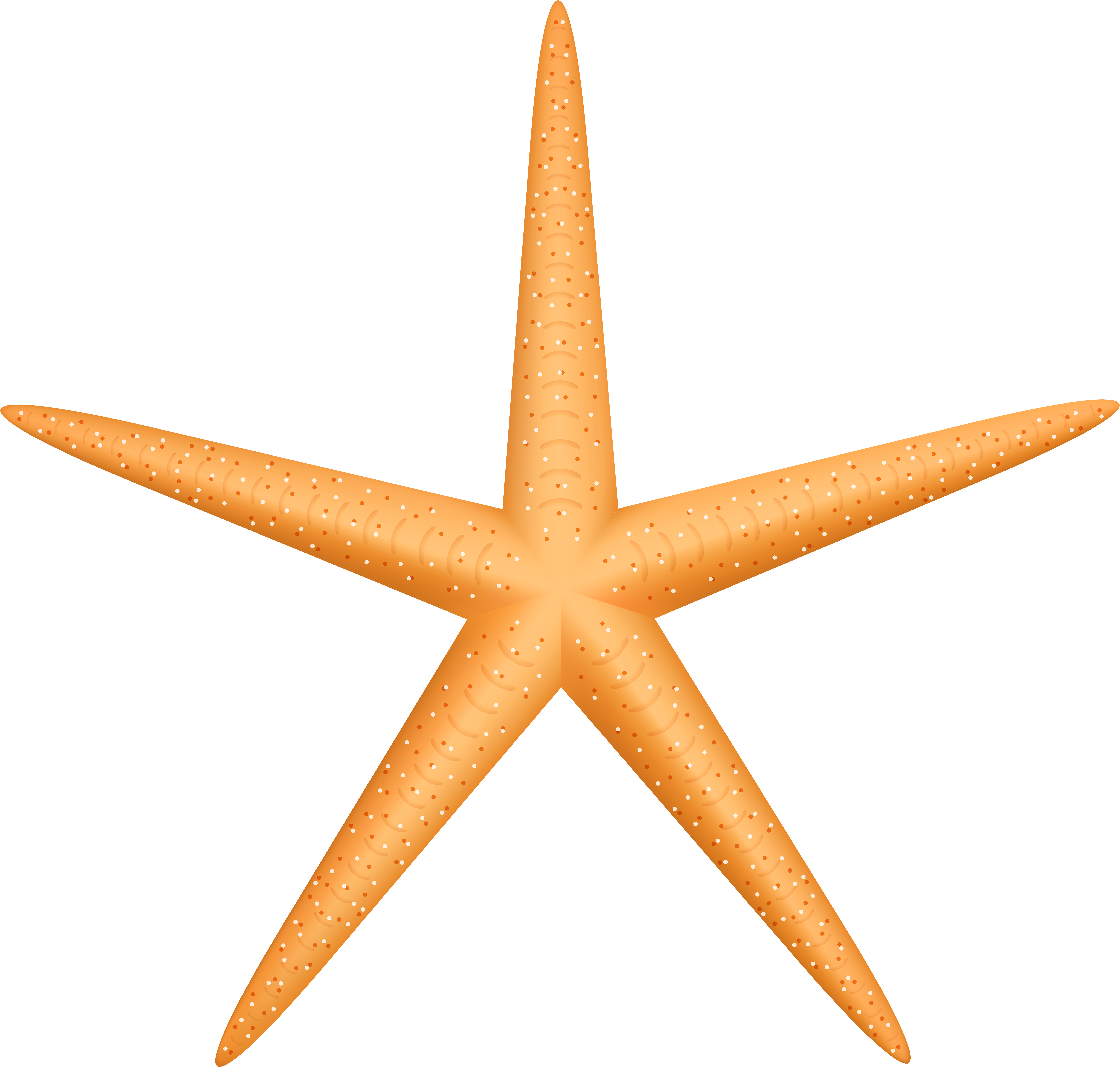 Yellow Starfish Png Clip Art (8000x7609), Png Download