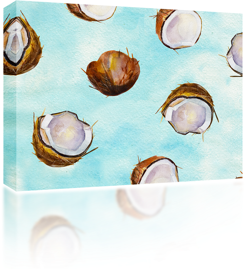 Cracked Coconuts - Watercolor Painting (1024x1024), Png Download