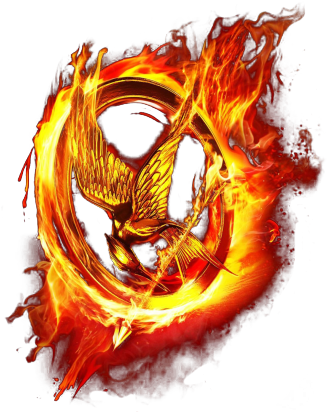 Tumblr Moyz3yvvwo1s56exfo1 400 - Hunger Games Mockingjay Katniss Edible (400x443), Png Download