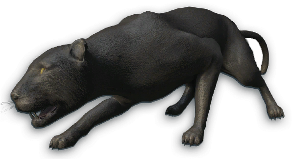 Far Cry 3 Black Panther (598x330), Png Download