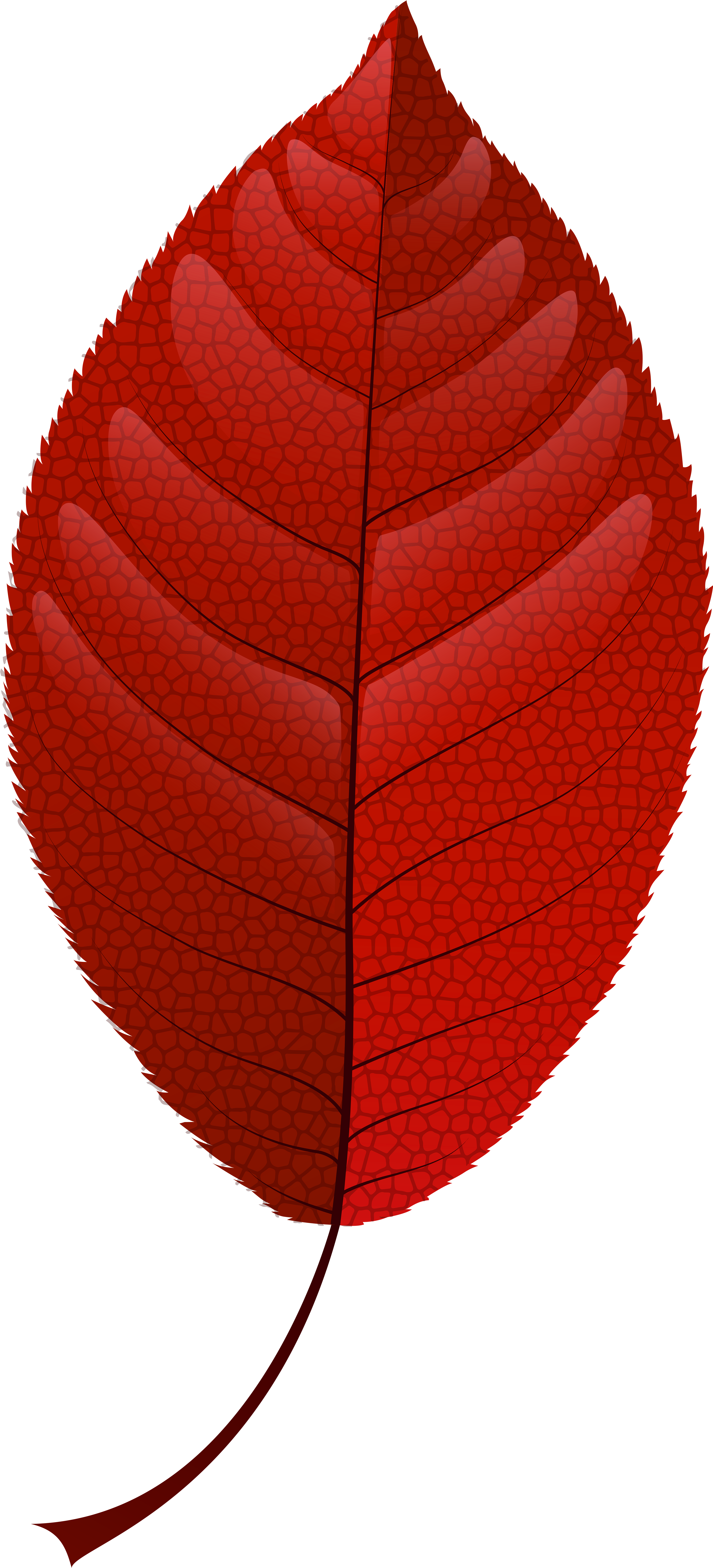 Red Fall Leaf Png Clip Art - Leaf (3640x8000), Png Download
